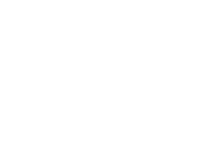 Spartan SMI